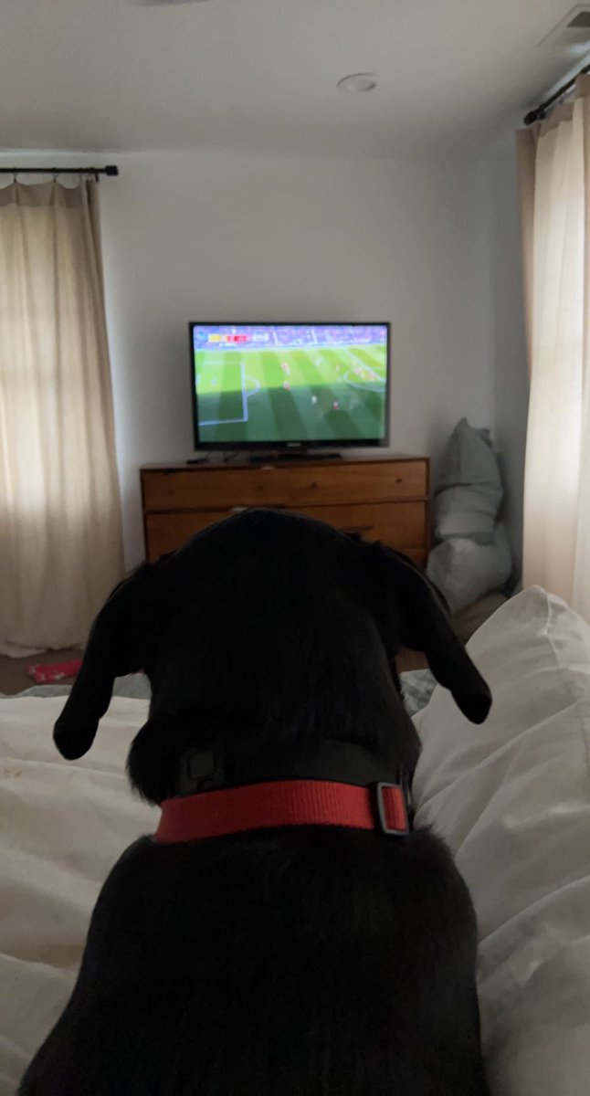 Nchammer10's tweet photo. Miller loves Prem Mornings watching @LFCUSA #MyPLMorning https://t.co/vFb5aLiouo