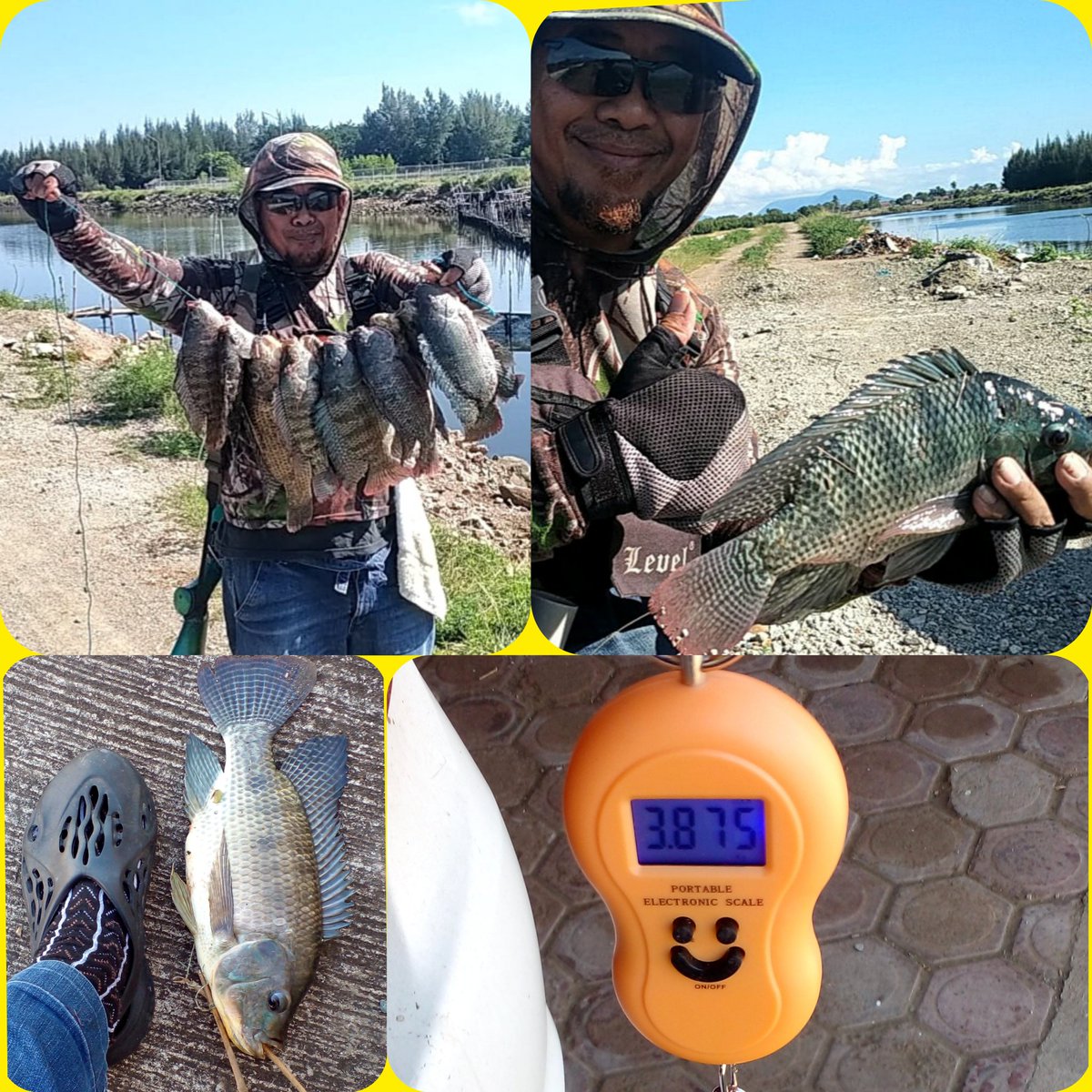 Alhamdulillah, hari ini Maser ikan bisa dapat 10 ekor Nila = 3,8 Kg. Walaupun harus berjalan kaki menjelajah Spot 3Km, tapi lelahnya terbayar. Maser itu, Hobinya Dapat, Olahraga Dapat, Sehat juga Dapat, Rezeki ikutan Dapat 😊👌