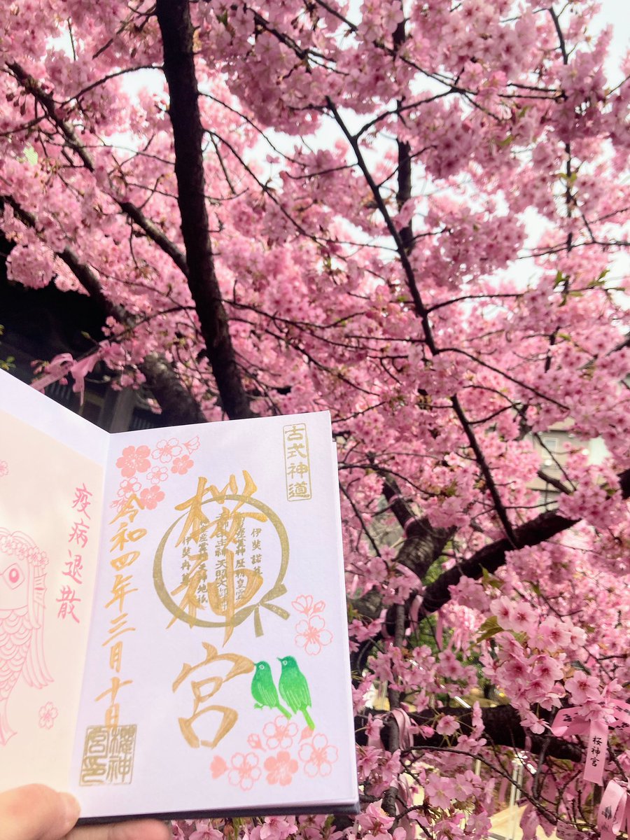 ctheron97's tweet photo. 2022年3月10日
#桜神宮
#御朱印
#河津桜
毎年恒例のこの時期に参拝🌸
満開ですね🌸🌸🌸🌸🌸🌸
東京都世田谷区新町 https://t.co/VbLQzKA8U7
