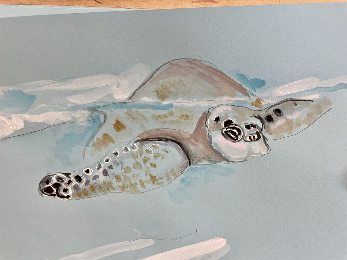 sardav64's tweet photo. Drawing rescued #seaturles with @WildDrawing and @OliveRidley1 https://t.co/mSSgIHjl6N