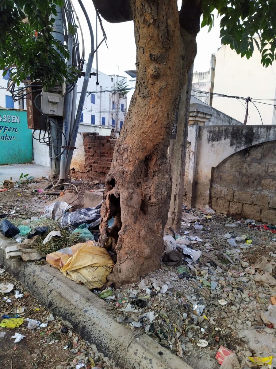 Sunitarocque's tweet photo. ⁦@ArshadRizwan⁩ #savethetrees #BensonTown #Nandidurga Road hollowed by termite and garbage dump ⁦@BBMPCOMM⁩ https://t.co/PaMsSFrriG