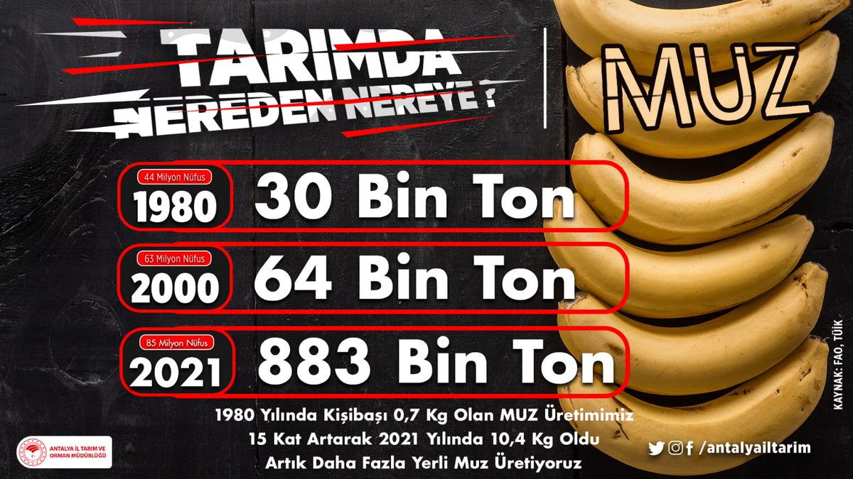 antalyailtarim's tweet photo. #ÇiftçimizÜretiyor

1980 yılında 30 bin ton olan #Muz üretimimiz 2021 yılında 883 bin ton oldu.

Ülkemizde tarımsal verimlilik ve çeşitlilik @TCTarim çalışmalarıyla nüfus artışından hızlı gelişiyor

@gokhankaraca_ @ersinyazici1 @VahitKirisci @RTErdogan https://t.co/GzrNHFFZ5S