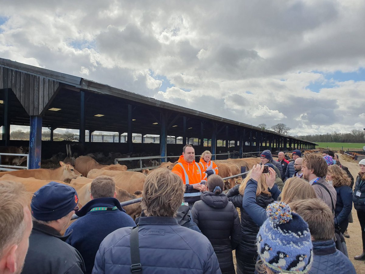 <a href="/Brownandcorural/">Brown&Co Rural</a> pleased to support morning of organics and dairy  for <a href="/NuffieldFarming/">Nuffield Farming</a> at Houghton Estate with <a href="/Evo_Farming/">Tom Rawson</a>
<a href="/CrottyCharlie/">Charlie Crotty</a> and the team
