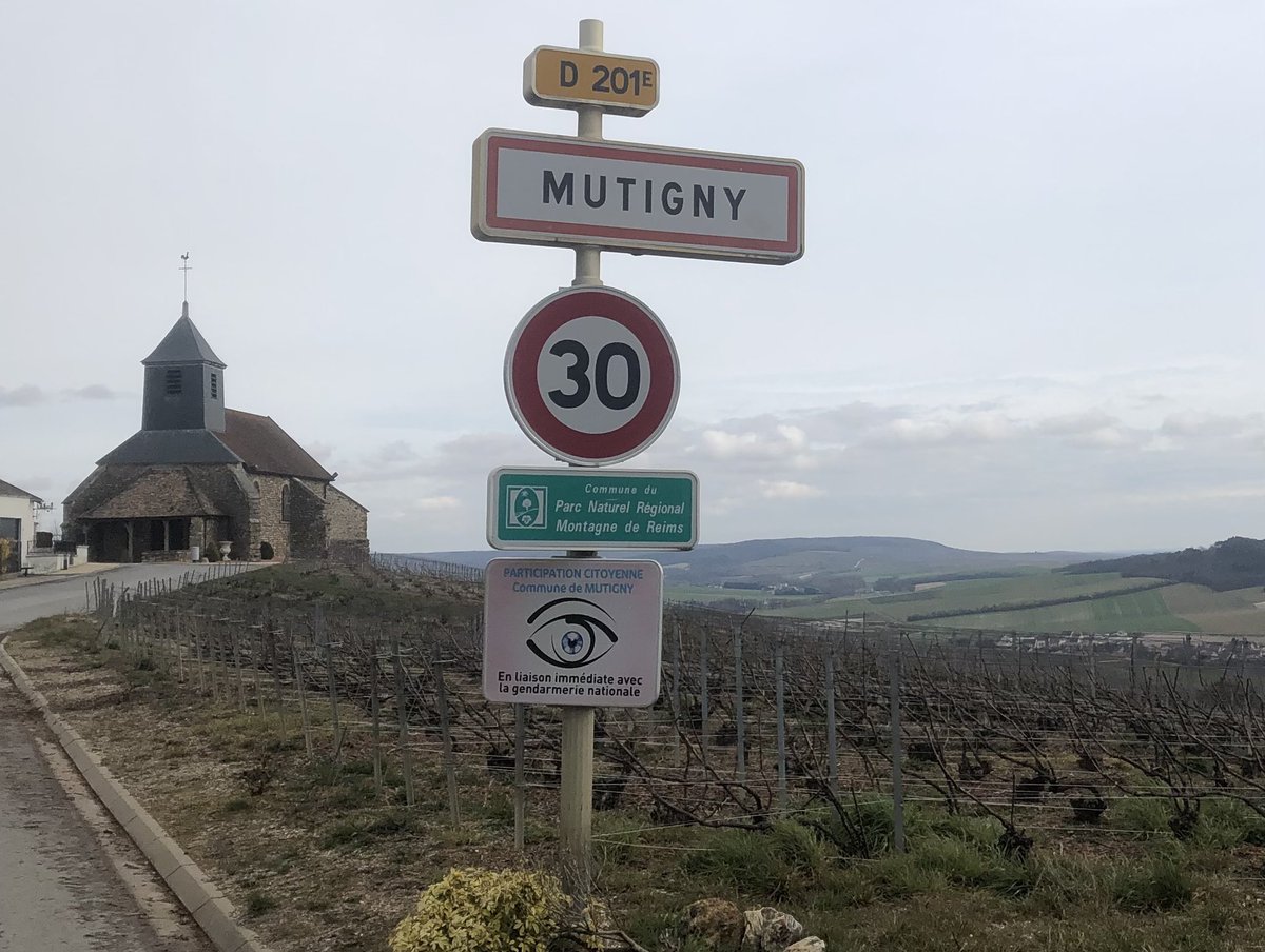 EmmanuelLagler's tweet photo. Séance matinale 🚴♀️ agréable en passant par #Mutigny dans le @DptMarne 👍
Une montée rendue célèbre par @alafpolak1 et qui sera le théâtre d’une superbe étape du @LeTourFemmes le 26 Juillet prochain 🤩
Une belle bagarre en perspective.
@artGrandEst @La_Champagne @regiongrandest https://t.co/2J5OR22HeR