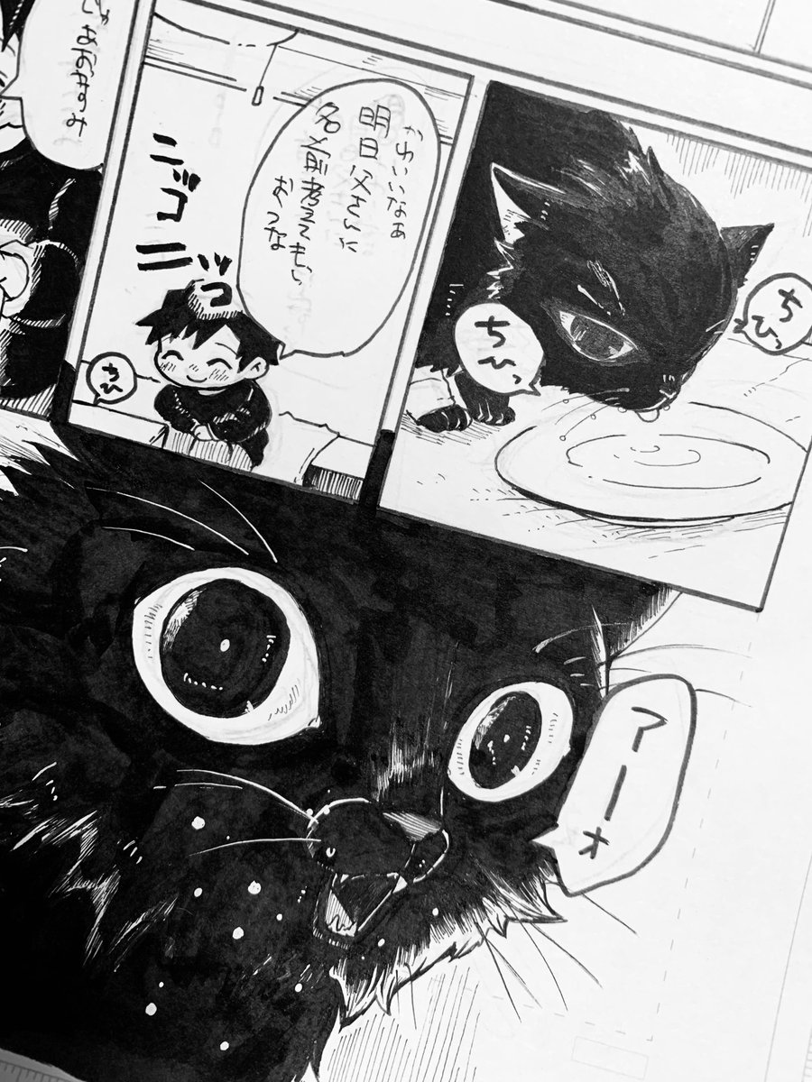 やっています
とりあえずねこちゃんはおわった!! 
