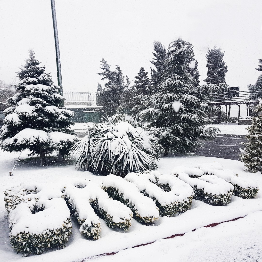 BridgeRest's tweet photo. Bu eşsiz manzaranın keyfini çıkartmak isteyen bütün misafirlerimizi bekliyoruz.

#BridgeRestaurant #İstanbulunGözdesi #Kuzguncuk #Nakkastepe #kar #manzara https://t.co/vkXLoYUjMD