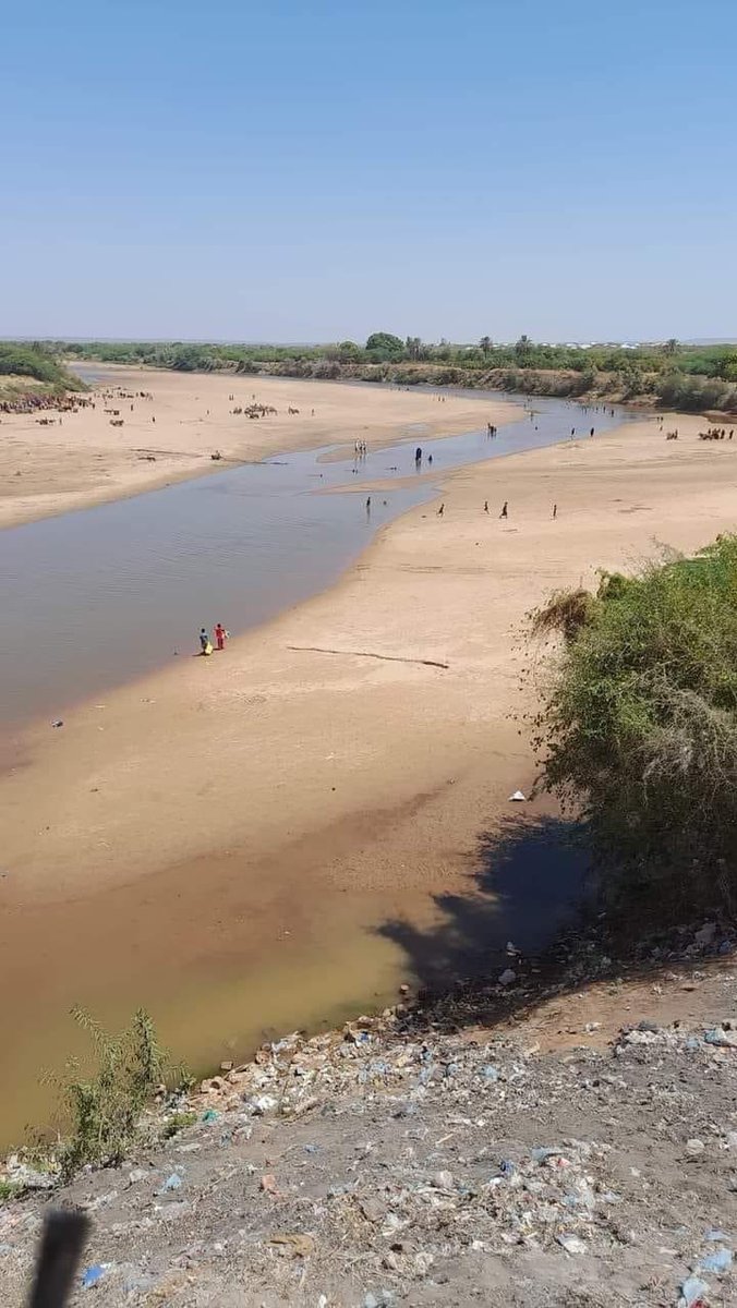 Somalia's Jubba river, is on the verge of receding due to last year's poor autumn rainy season.

This is Bardhere, the Juba River flows through this town and recent images show how the current drought situation is deteriorating.

May God help the afflicted people in rural areas.