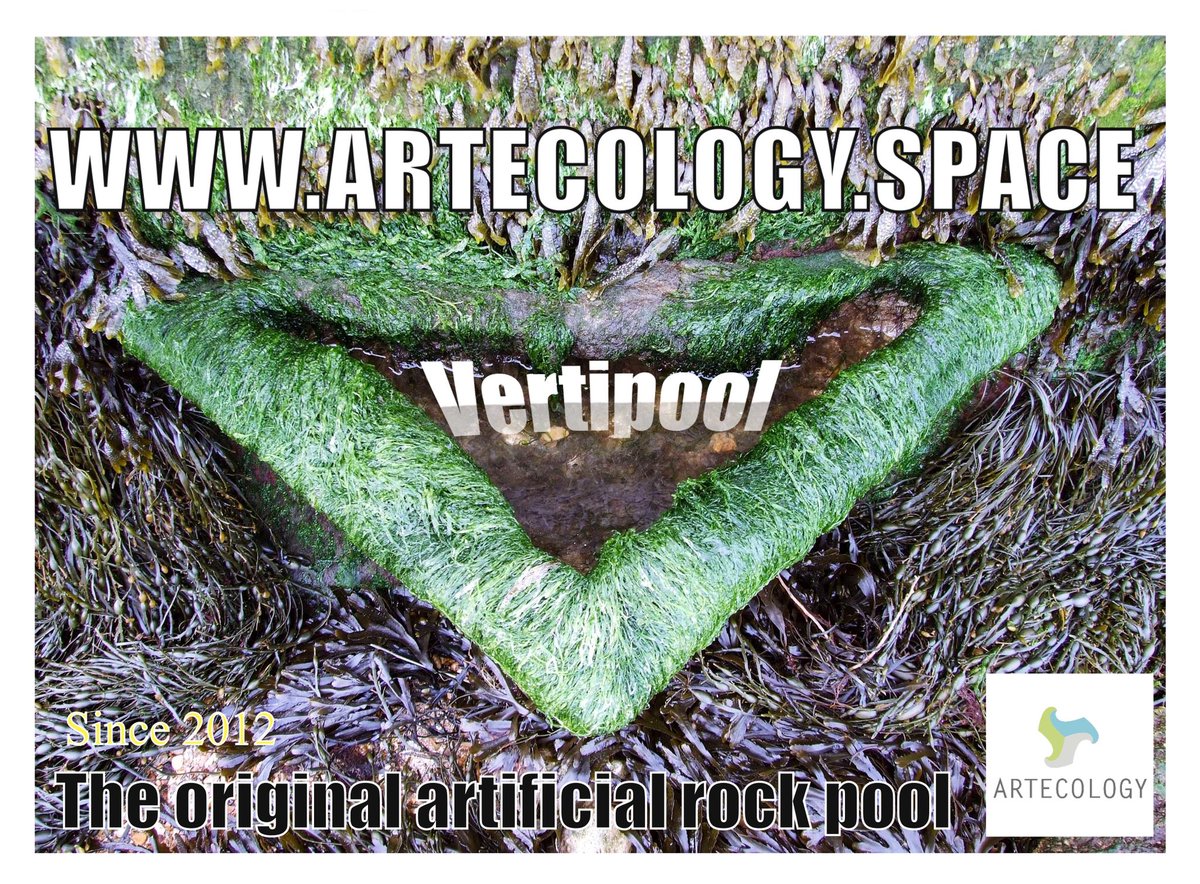 ArtecologyDept's tweet photo. Ten years on and we’re still hand crafting habitat for wildlife at our studio in Sandown Bay in the Isle of Wight World Biosphere Reserve.
#workingforwildlife #buildingforbiodiversity #craftingforcreatures #habitatsforhumans
#ecoengineering #STEAM #science #art #LetsCreate https://t.co/D90g0A109r