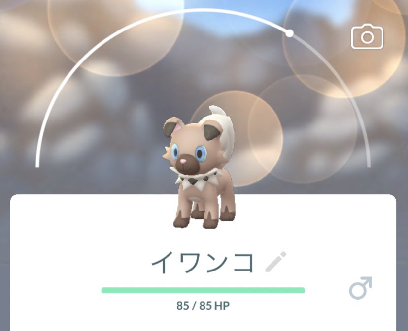 ControlgameGo's tweet image. 色違いのイワンコ全然こない😭
#PokemonGoRaids #PokemonGo #WorldwideRaid @WorldwideRaid