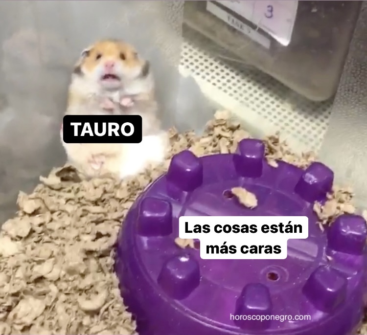 tauro_hn's tweet photo. ¡Atrás! 🤣 #tauro #horoscoponegro https://t.co/sazwyYiBds