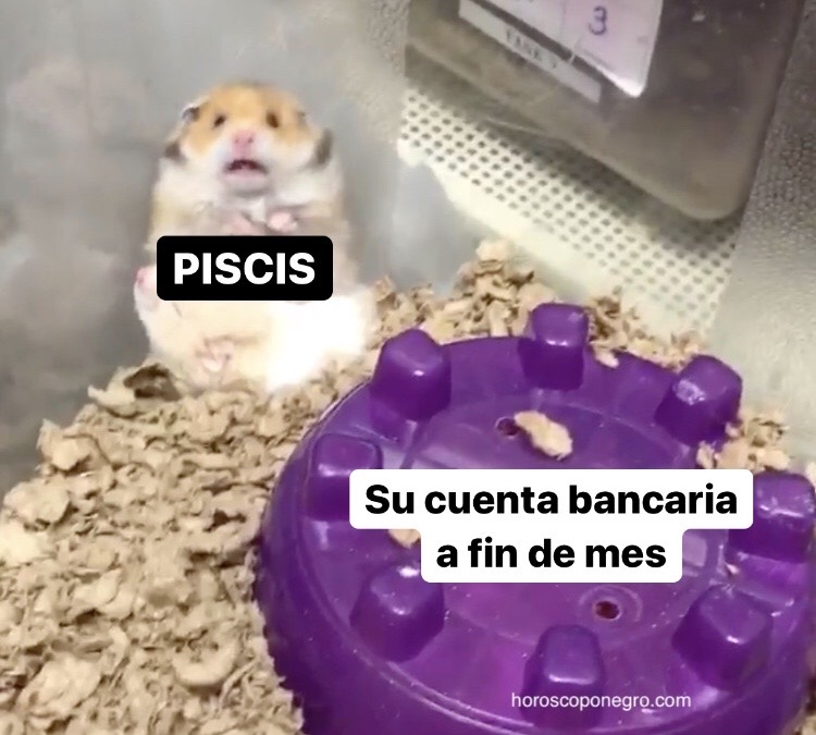 piscis_hn's tweet photo. ¡Atrás! 🤣 #piscis #horoscoponegro https://t.co/uDBtxLoyiT