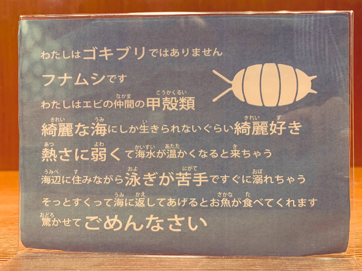 ゴキブリではないよ、驚かせてごめんなさい。フナムシの言葉が切なすぎる。