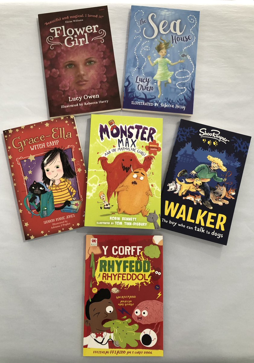 RainbowsDragons's tweet photo. 📚 Some of the books we received in our latest delivery from @Books_Wales We stock English, Welsh & Billingual books from birth to pre-teens and have a sale on selected books.
Available in the shop or our website.
#rainbowsanddragonsabergele #llyfraucymru #readingwithchildren https://t.co/Bk4Aa0iIPg