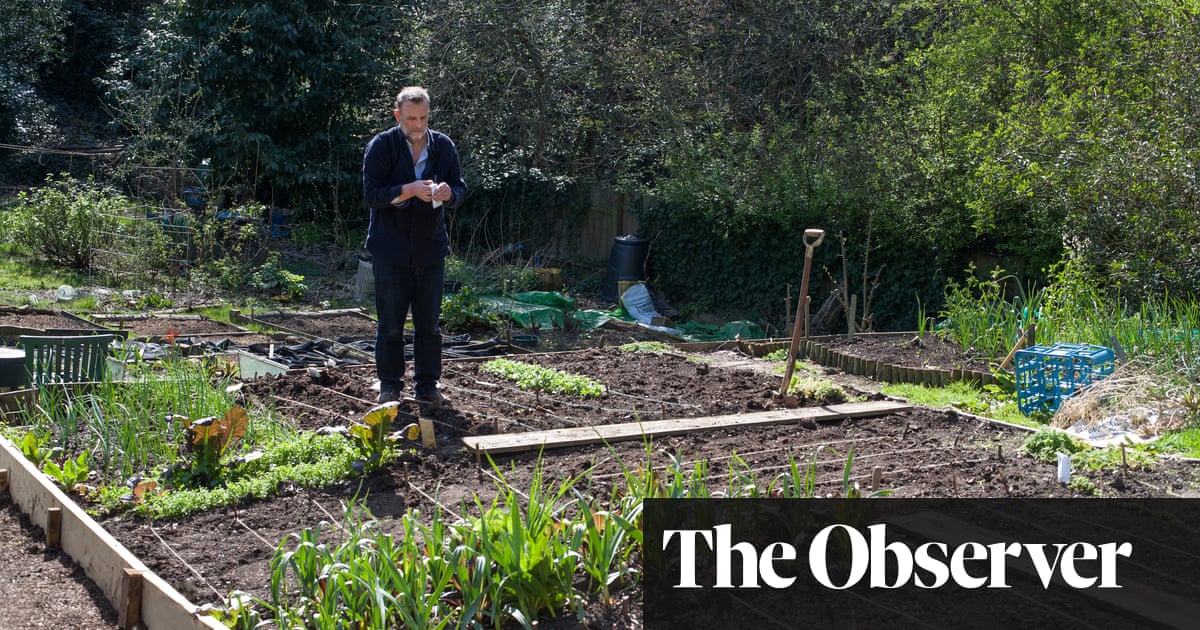 Wessexgrounds's tweet photo. Great special gardening article from Allan Jenkins in The @ObserverUK looking at why it is always best to grow from seed - https://t.co/T7iFiQAw3Y #WGS #growingfromseed #groundsmaintenance #gardeningadvice #gardeningtips https://t.co/ANVemPFFUa