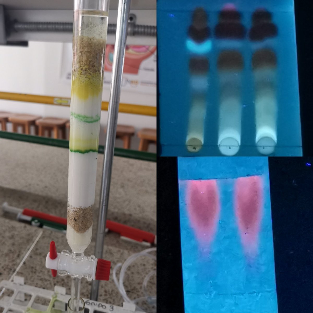 Componente práctico Biomateriales - EPAB <a href="/AlimentosUNAD/">Alimentos UNAD</a>