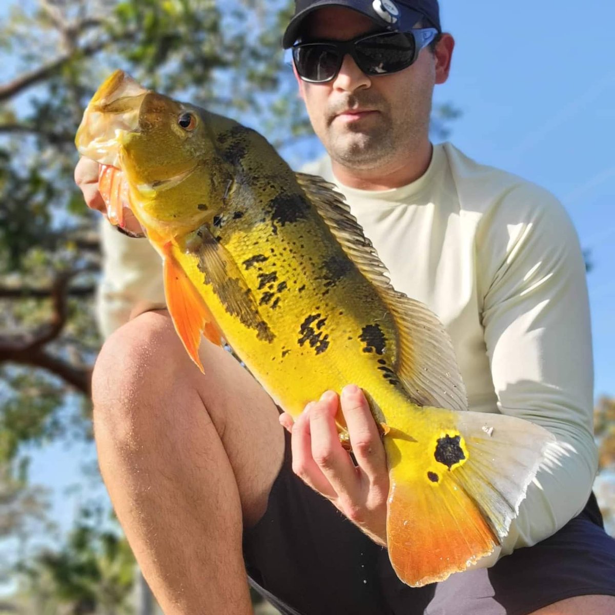 NicholasBeltr17's tweet photo. After work I made a pit stop at a local canal and caught this guy ππ
#anglrbullseye #anglr #peacockbass #peacockfishing #southfloridafishing #aftcofreshwater #bankfishing https://t.co/lFmfZiVj6A