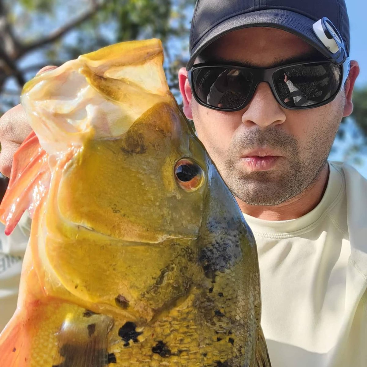 NicholasBeltr17's tweet photo. After work I made a pit stop at a local canal and caught this guy ππ
#anglrbullseye #anglr #peacockbass #peacockfishing #southfloridafishing #aftcofreshwater #bankfishing https://t.co/lFmfZiVj6A