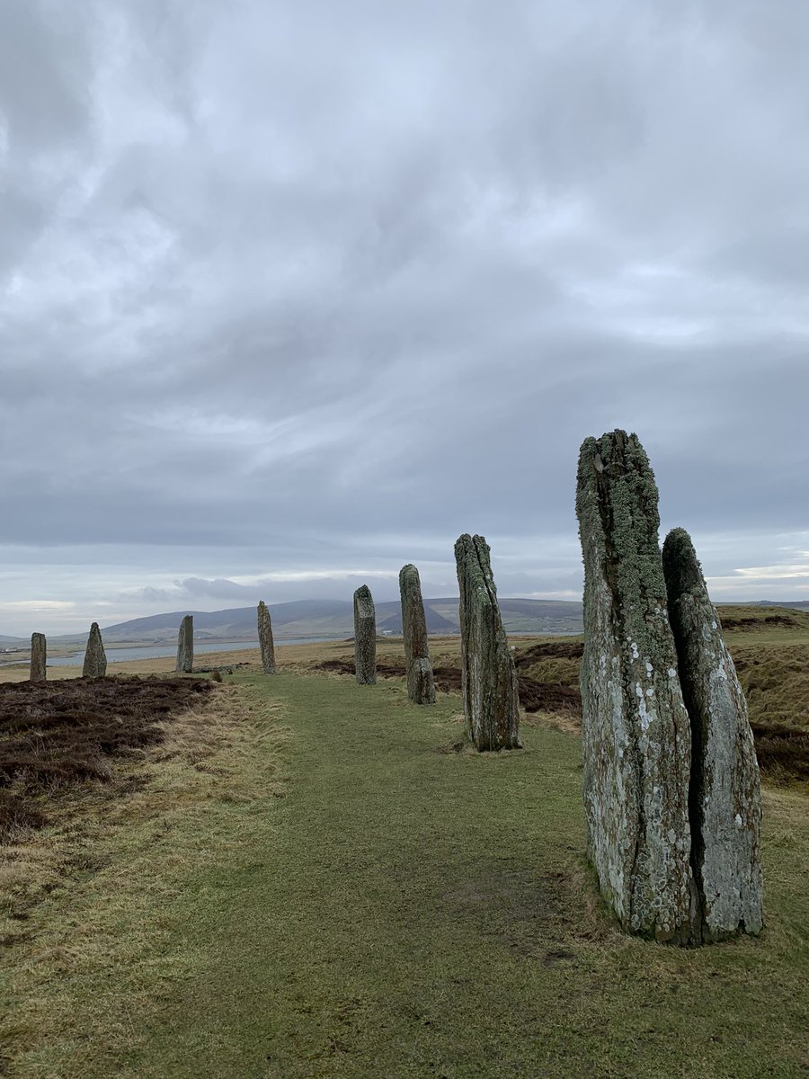 ScottishField's tweet photo. Amazing time touring Orkney’s standing stones, Skara Brae, stunning beaches and distilleries and enjoying the best of the local produce with #JPOrkney @deer_distillery @KirkwallHotel Oh and falling in love with the fattie cutties! 😋 https://t.co/ItzCDE3fpV