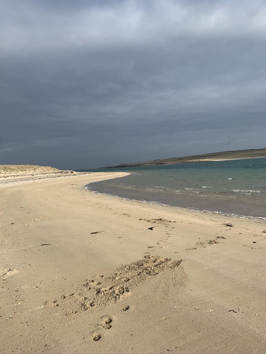 ScottishField's tweet photo. Amazing time touring Orkney’s standing stones, Skara Brae, stunning beaches and distilleries and enjoying the best of the local produce with #JPOrkney @deer_distillery @KirkwallHotel Oh and falling in love with the fattie cutties! 😋 https://t.co/ItzCDE3fpV