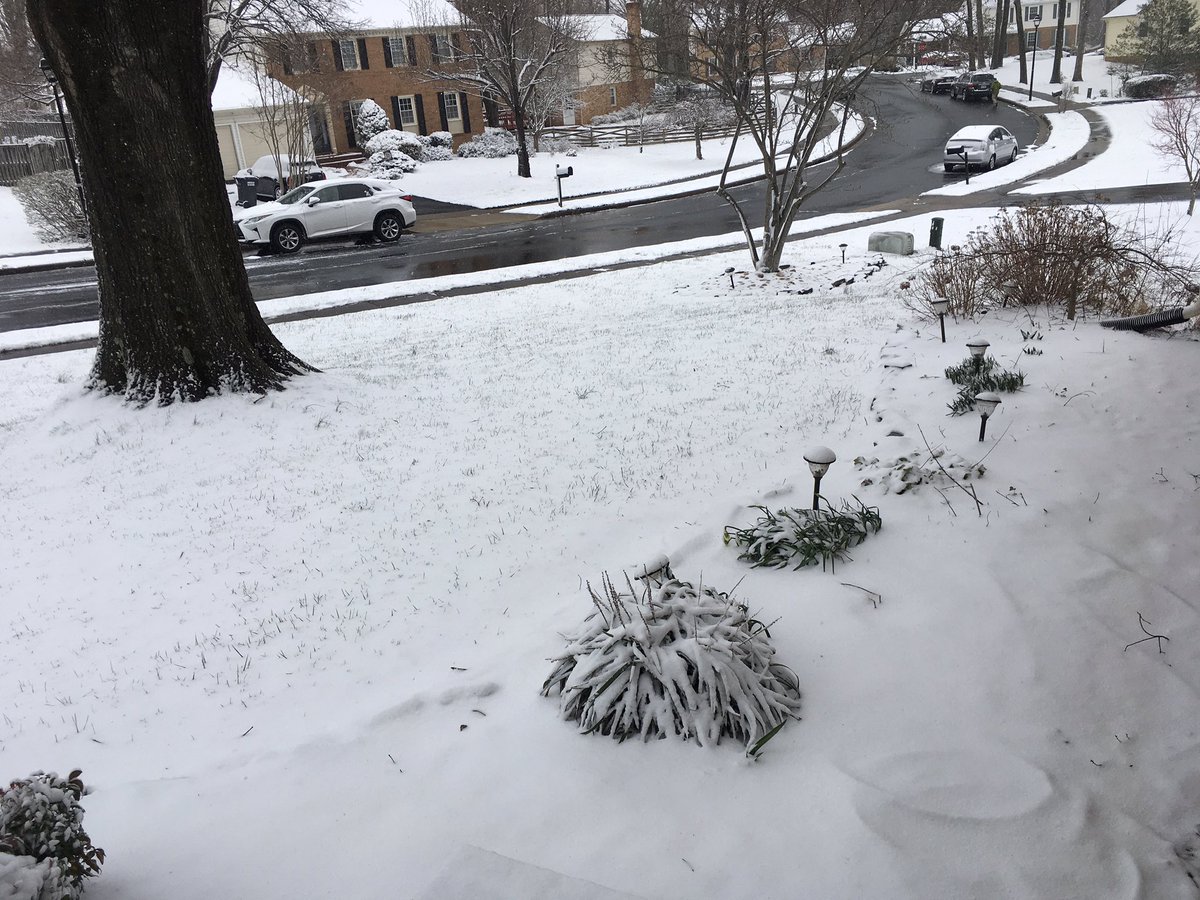 TriviaOverTea's tweet photo. It’s cold and snowy outside this weekend, a perfect time to enjoy a cup of tea and play Trivia along with contestants on Trivia Over Tea! A weekly Trivia competition available on your favorite podcast app. #triviapodcast #triviaovertea https://t.co/kuHButVKKR