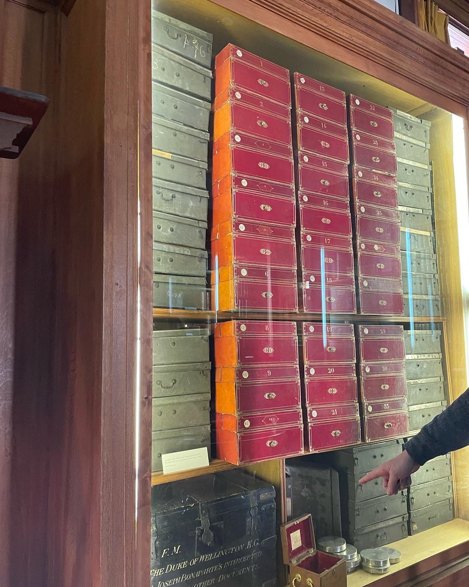 Mary Amme-Shiraef tweet media