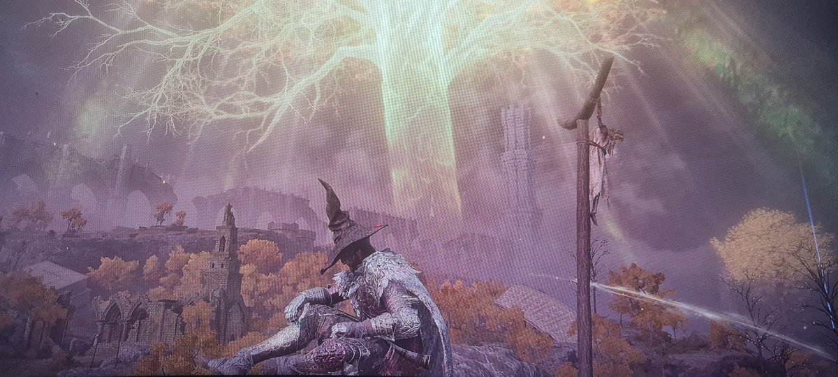 ThatGuy_Curtis's tweet photo. @xProdz_ Praise the tree! https://t.co/slHuFnpI3w