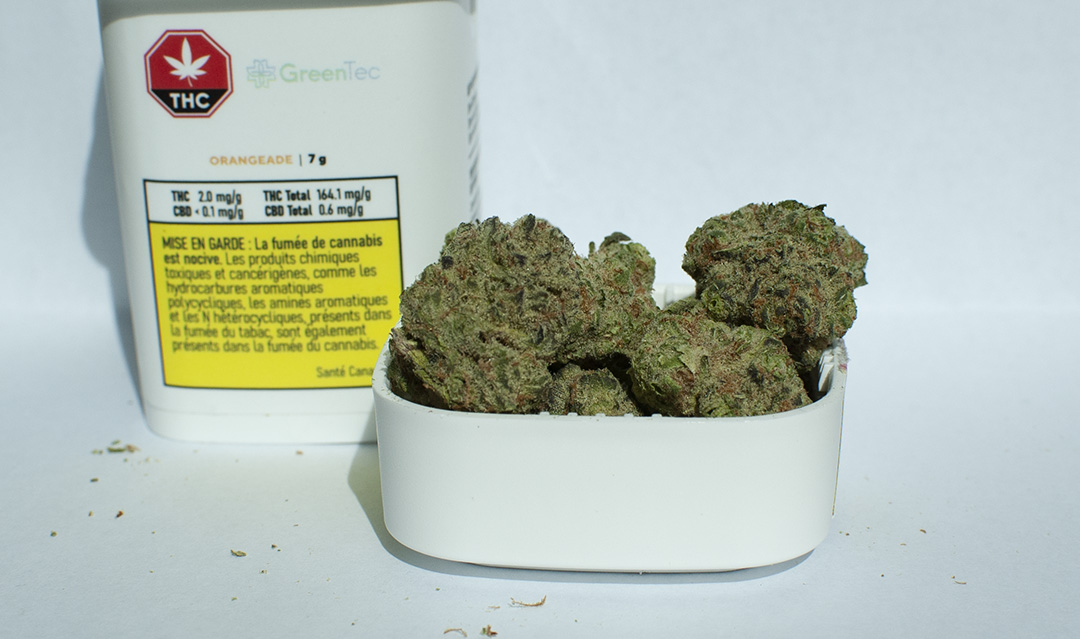 Testing Fresh Batch of Orangeade from GreenTec with 16.61% THC 1.73% Total Terpenes hitting well above expectations.