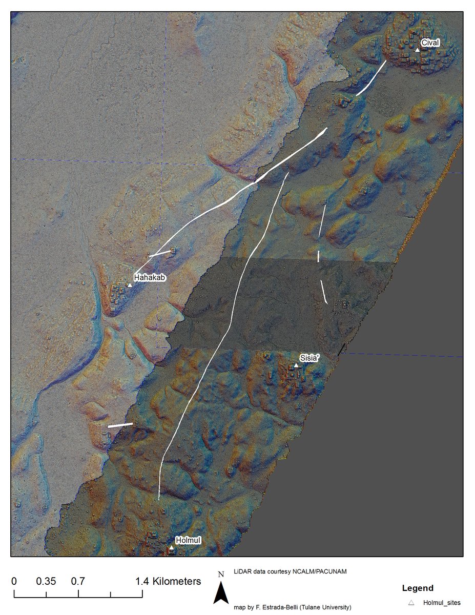 F_EstradaBelli's tweet photo. #KeepCalmAndLidarOn 
#Maya causeways at #Cival, Peten (Late Preclassic 400 B.C.-A.D. 200) 
#pacunamlidarinitiative #ncalm #mayaarchaeology #Holmul  #science #scienceandenvironment #lidar https://t.co/heJgcZQGIC