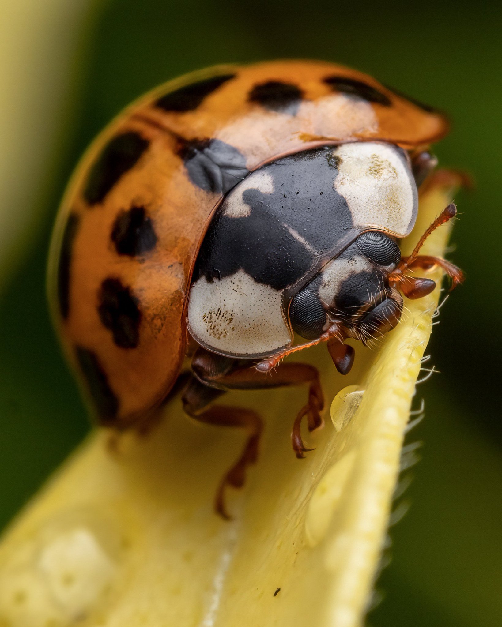 Pete Burford on Twitter: