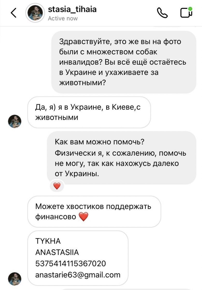 пирожЕнщина tweet media