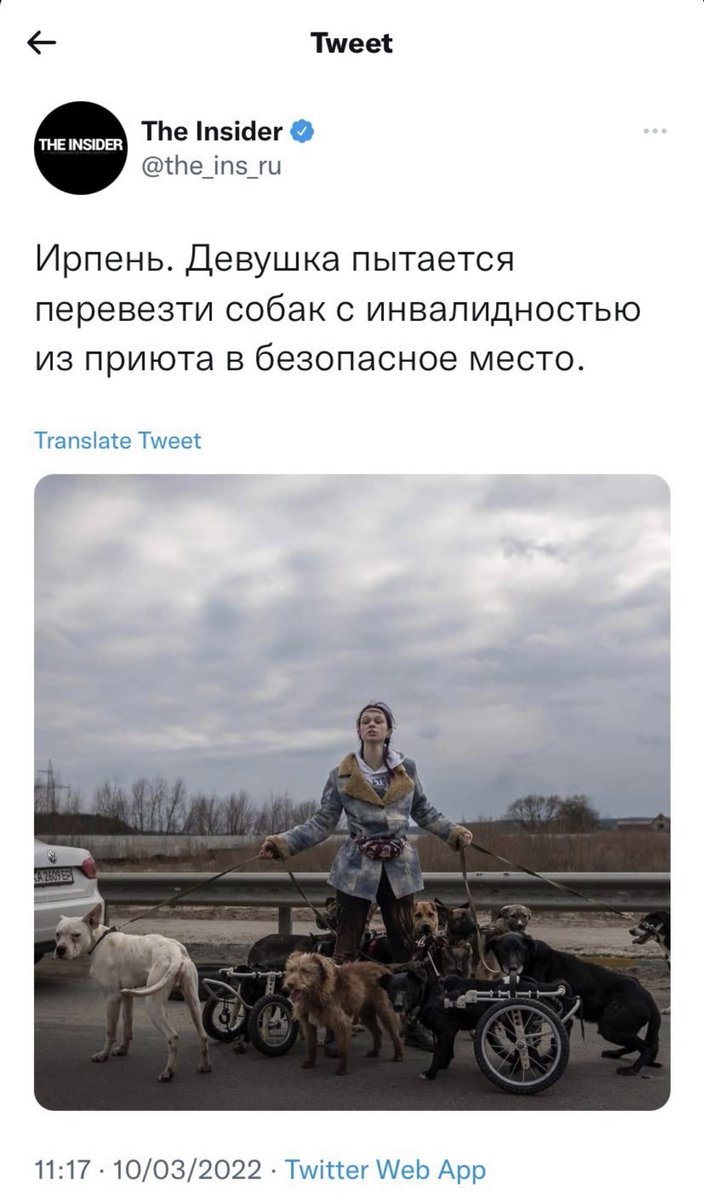 пирожЕнщина tweet media