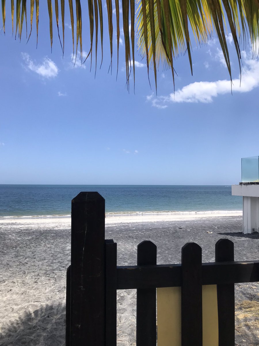 Nicoliana28's tweet photo. Weekend ☀️ https://t.co/6pU6NwZJFy