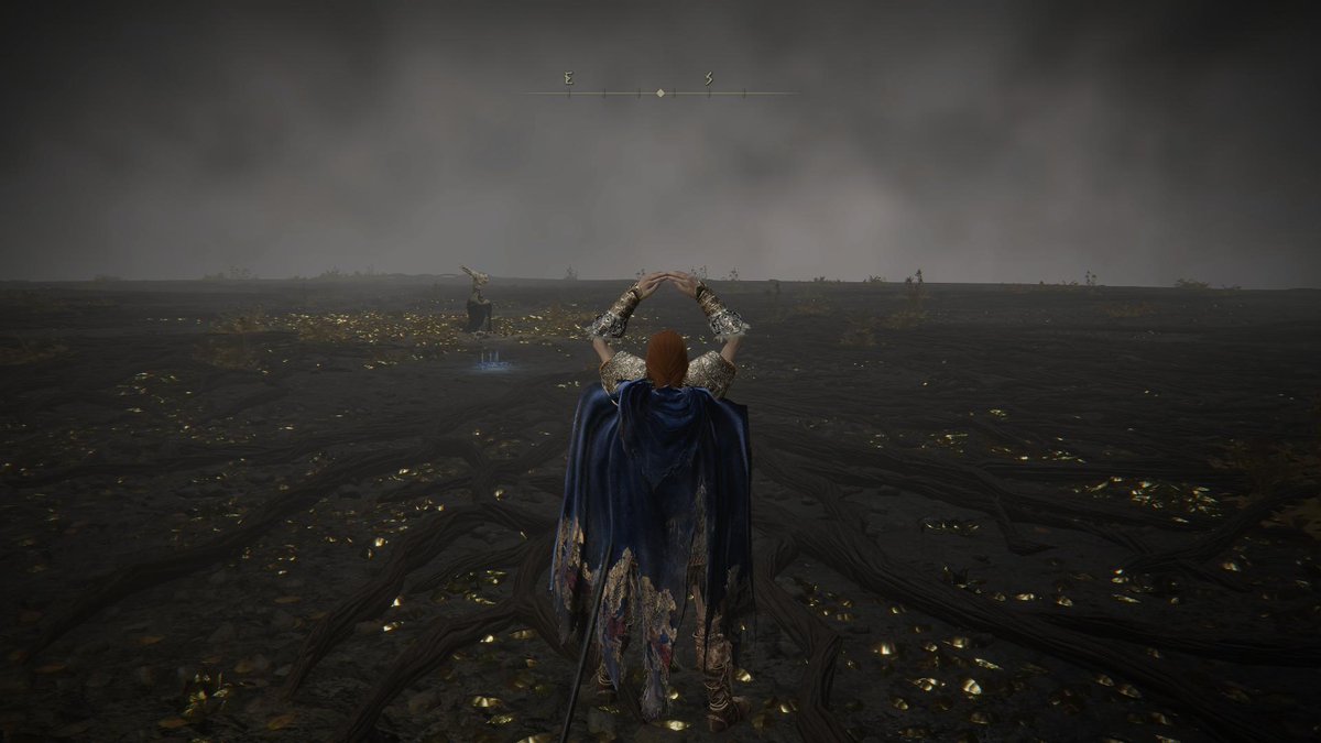 williammhutton's tweet photo. #PS5Share, #ELDENRING https://t.co/g5BW5UIMQ9
