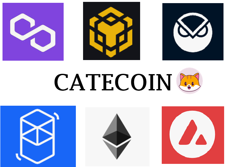 catecoin's tweet photo. #catecoin🐱 wallet support 6 blockchain which includes 

@binance 
@AvalancheAVAX
@gnosisdao 
@0xPolygon
@FantomFDN 
@ethereum  

Which one  do you used most? https://t.co/7OCURmsT6g