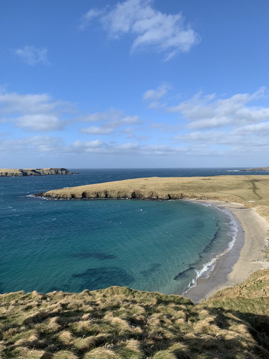 ScottishField's tweet photo. Just can’t get enough of that turquoise water! Exploring Shetland’s history, creative side and of course taking a dip in the sea with a selkie or two! @LaurieGoodlad @ShetlandSea @NLFerries and Karlin Anderson Jewellery https://t.co/ywMJrScGrF