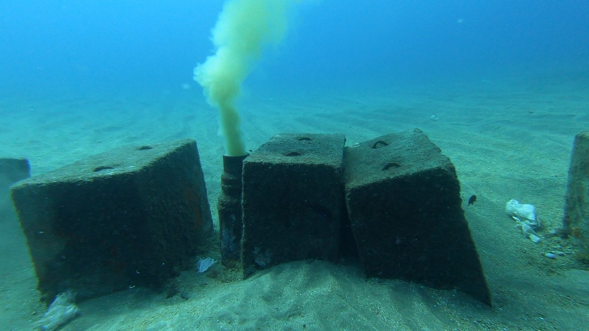 Proyectos Medioambientales Marinos tweet media