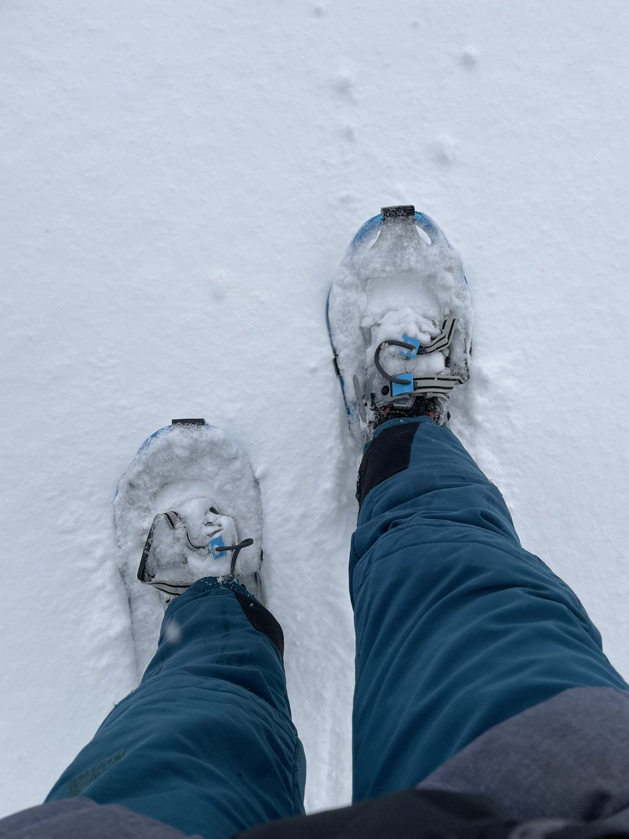 Ready for spring in upstate NY!