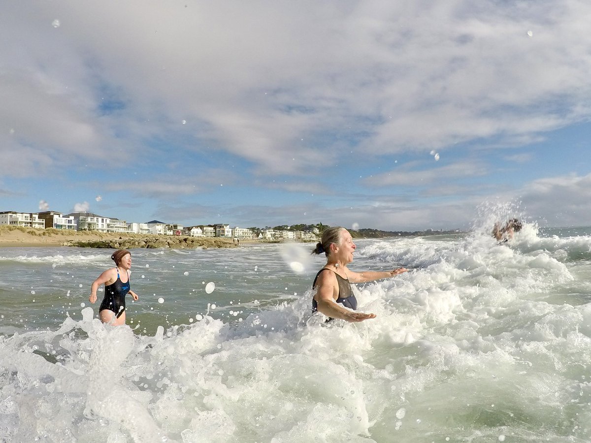 Dip Advisor tweet media