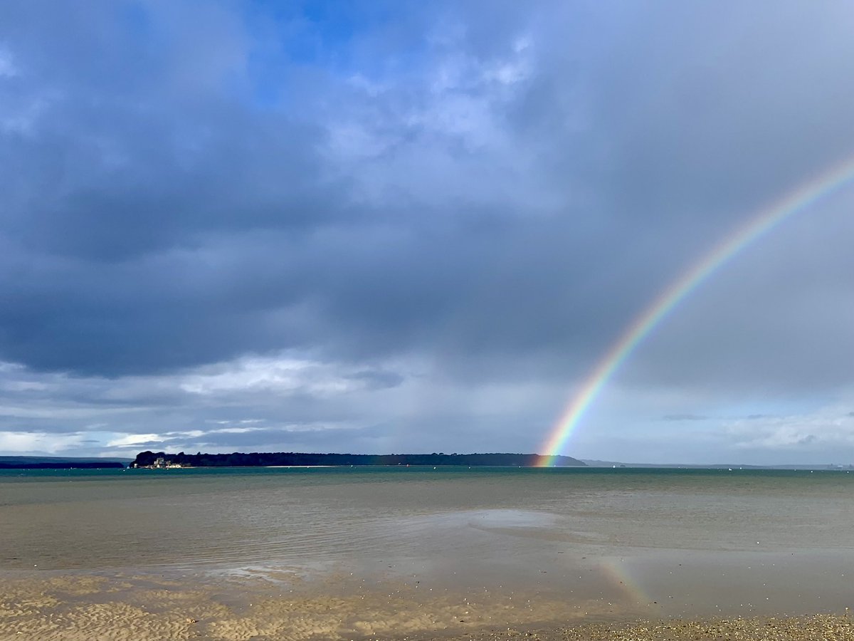 Dip Advisor tweet media