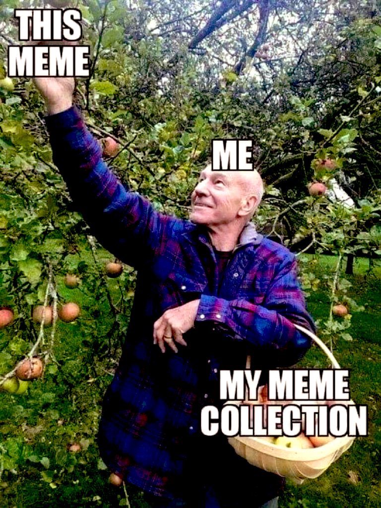 SpicerFilms's tweet photo. @hound_crypto @PaleoAutist @DefiantLs Meta. https://t.co/j91g2fIXZS