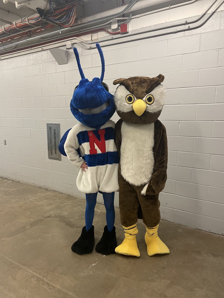 NCHSAthleticsAD's tweet photo. Outstanding sportsmanship between the mascots! #gohornets https://t.co/ugBc5YpM4e