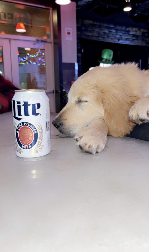 When all of your friends left for Spring Break but you’re still in Bowling Green…… we’ll be open tonight and next week too, no worries! #millerlight