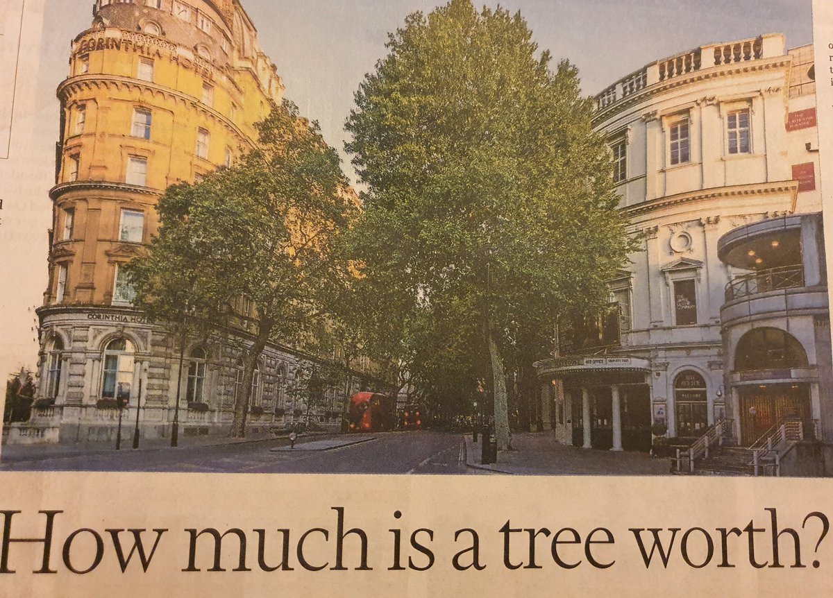 Ames_Collection's tweet image. Great article @tabijgee @ftweekend on the benefits of #trees ➡️.  #London's plane 🌳🌳  'Store carbon, improve air quality, shade for humans &amp;amp; habitats for wildlife' @LDNGardensTrust @Treeconomics @QGCanopy @Barchamtrees @GregPackman