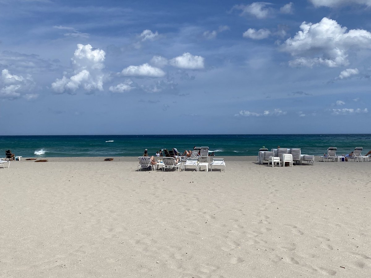 Mike Raffaele tweet media