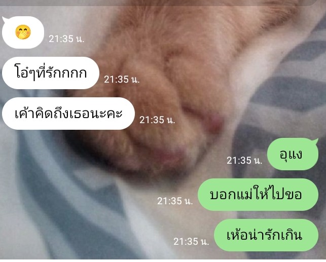 เอ็กจ๋อง tweet media