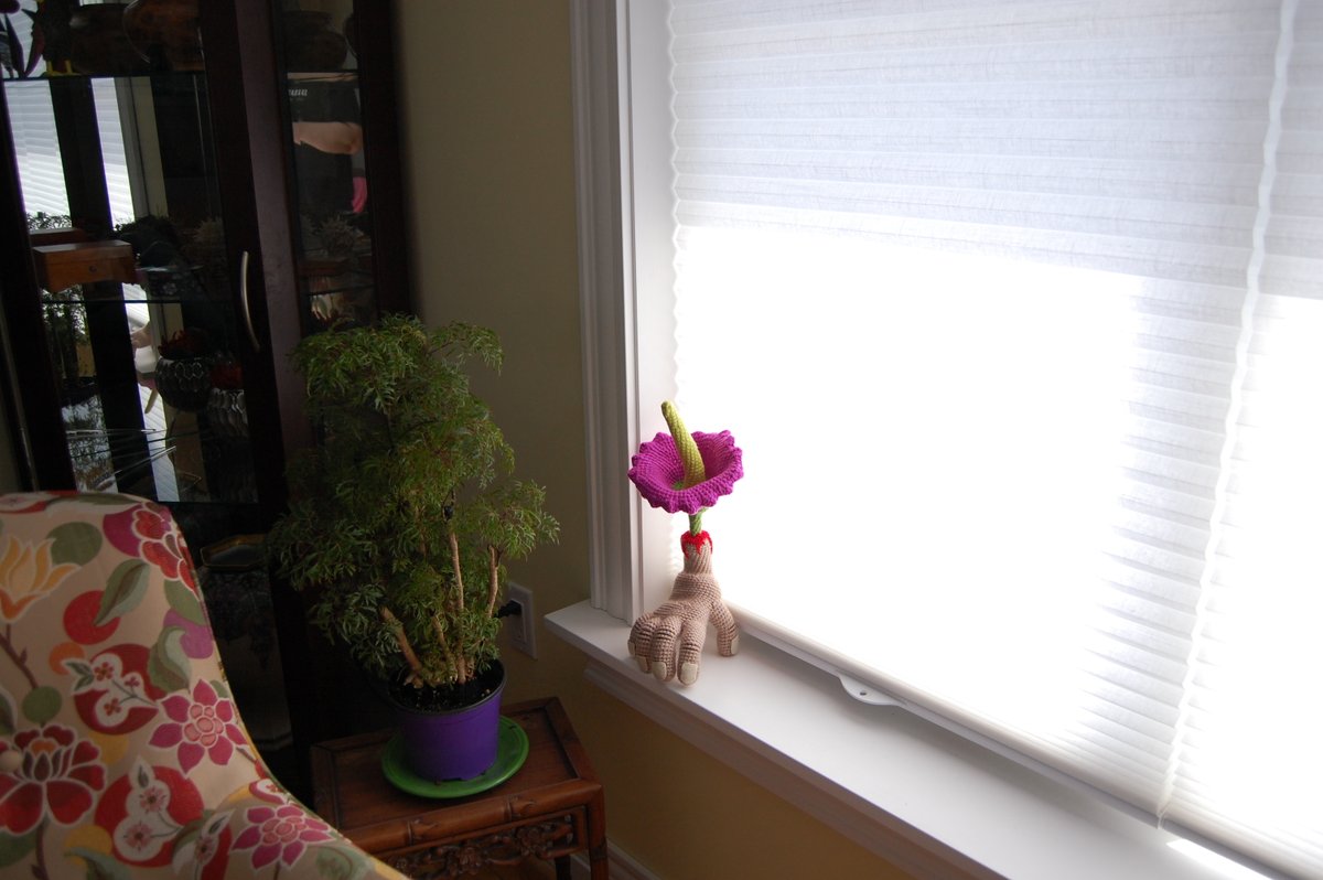 MadebyJody666's tweet image. Severed Hand with a Corpse Flower! Get the pattern or the plush today! 🖤💀😎madebyjody666.myshopify.com

#crochet #plush #severedhand #anatomy #corpse #flower #amigurumi #weirdcrochet #fiberart #yarnart #sculpture #madebyjody666 #handmadewithlove