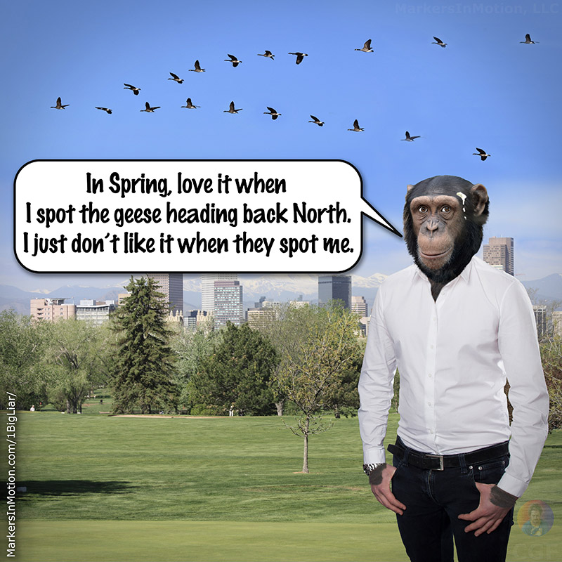 1BigLiar's tweet photo. I love Spring. Let me count the ways...
Happy #WorldPoetryDay - 🍌🙉🍌 https://t.co/ye0PppBJJ5