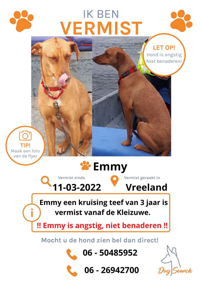 Annemiek2707's tweet photo. โผ๏ธ#VERMISTโผ๏ธNiet benaderbaarโผ๏ธ#Emmy,#kruising #teefje #3jaar. Vermist vanaf #Kleizuwe in #Vreeland 11-3-2022.Liep samen met de andere honden in en om het huis en ineens was Emmy verdwenen. Is te herkennen aan een groot litteken bovenop haar koppie en heeft een knik in haar staart https://t.co/2e1iE8s0bU