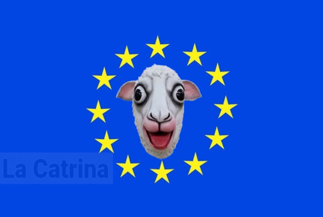 catrina_nortena's tweet photo. Nueva Bandera de Europa...🤭😂😂 https://t.co/kWug5s4bvn