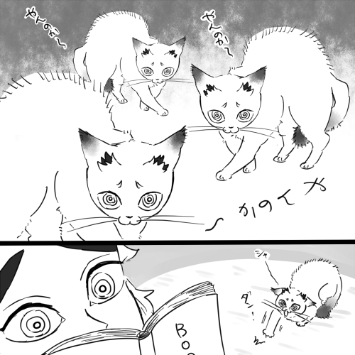 おこ!!! 